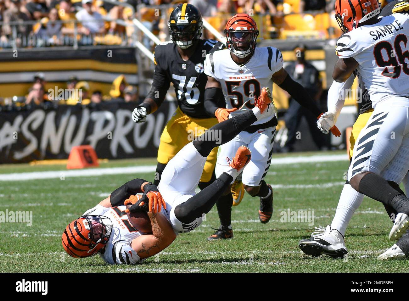 From the Other Side: Bengals LB Logan Wilson on Intercepting Ben  Roethlisberger - Steelers Now