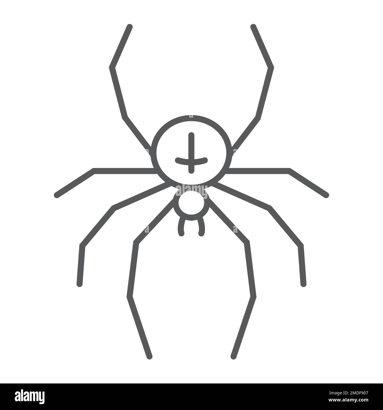 Spider thin line icon, animal and arachnid, halloween sign, vector ...