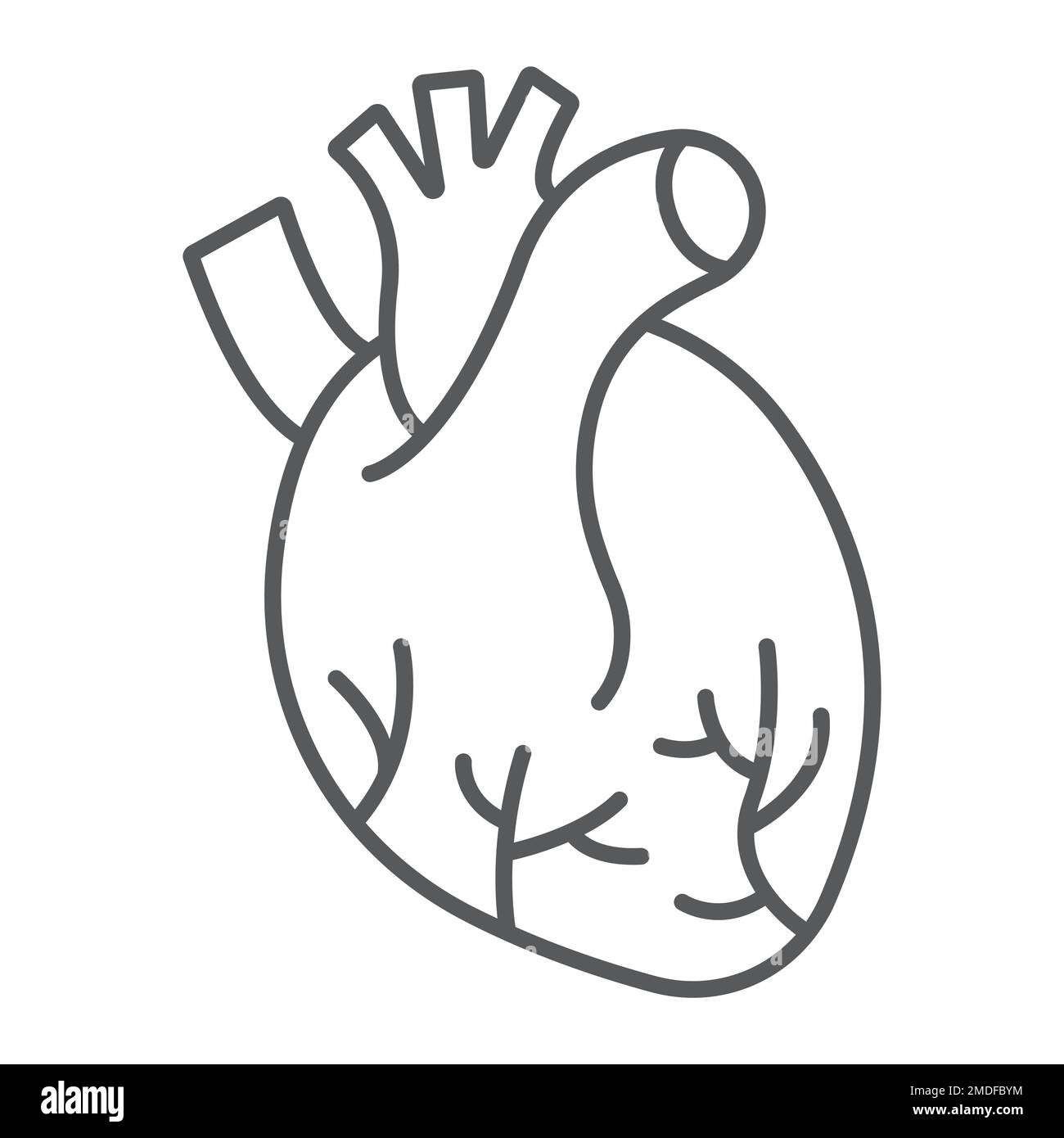 Human heart thin line icon, anatomy and biology, Cardiology sign ...