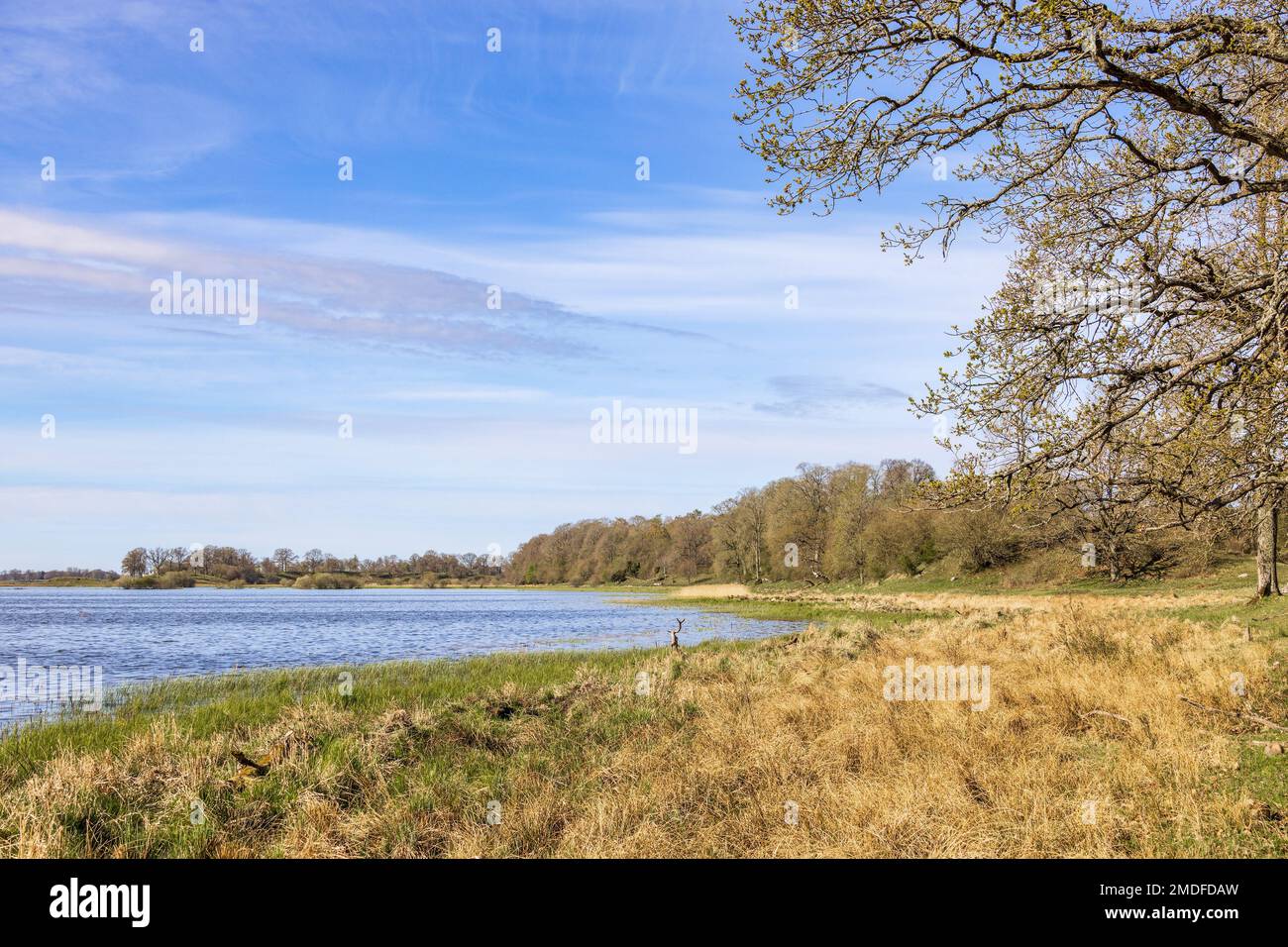 Beautiful lake in sunny hi-res stock photography and images - Alamy