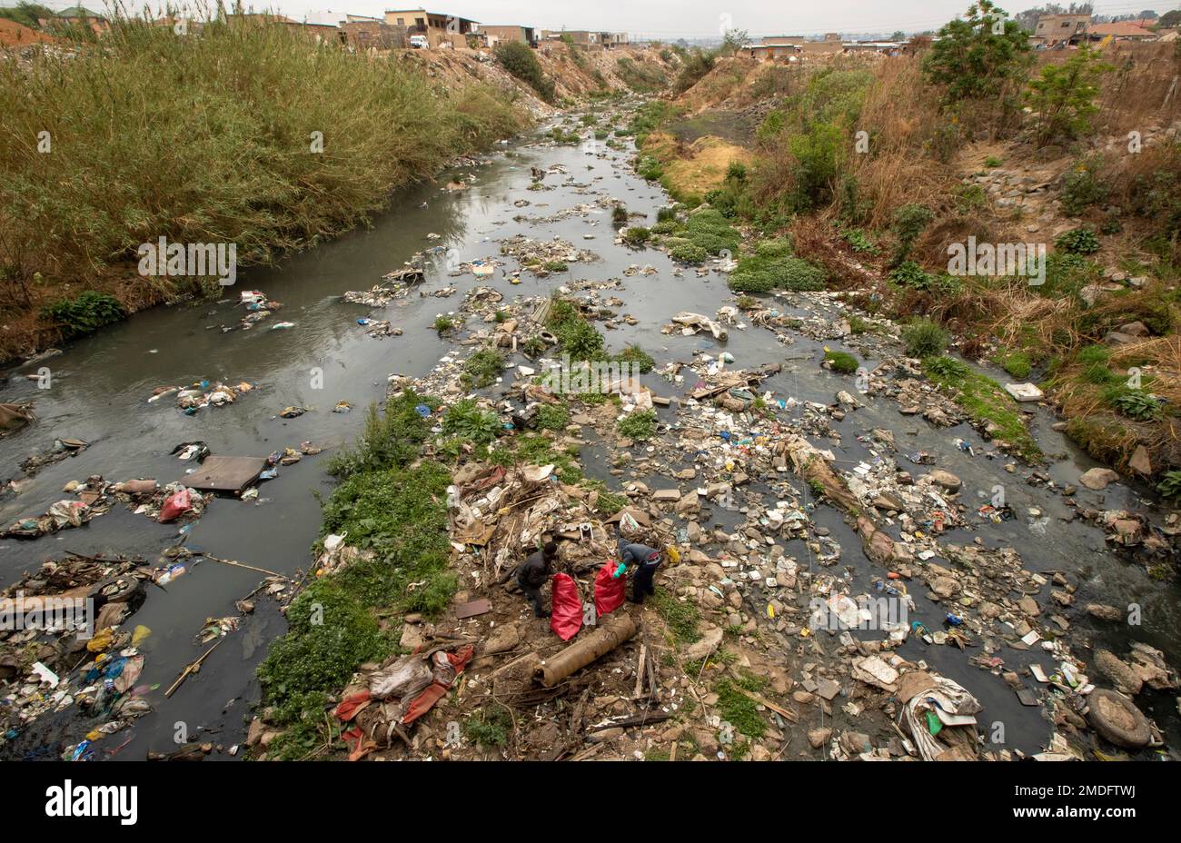Volunteers collect waste from Jukskei River at Alexandra township to