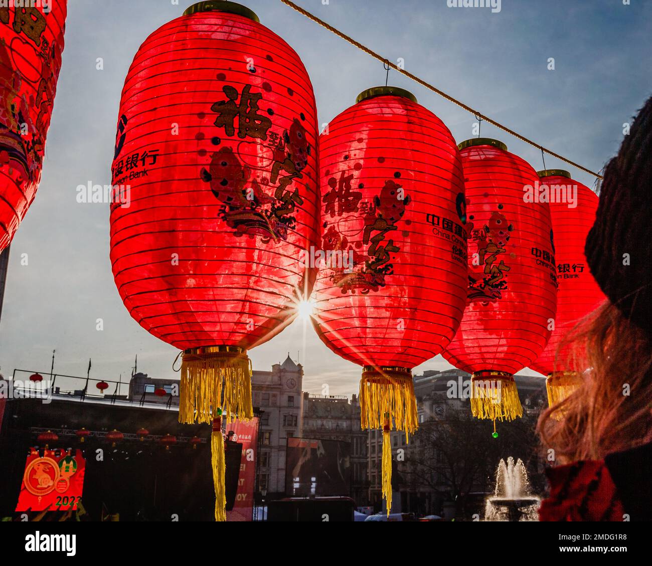 Sunlight shines through chinese red lanterns in Trafalgar Square as celebrations of the lunar new year get underway to usher in the year of the rabbit. Stock Photo