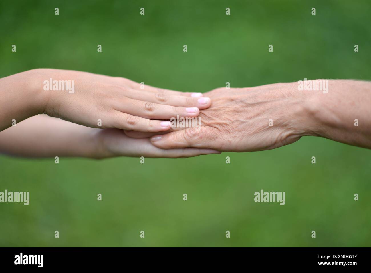 senior woman and child holding hands on a green background Stock Photo ...