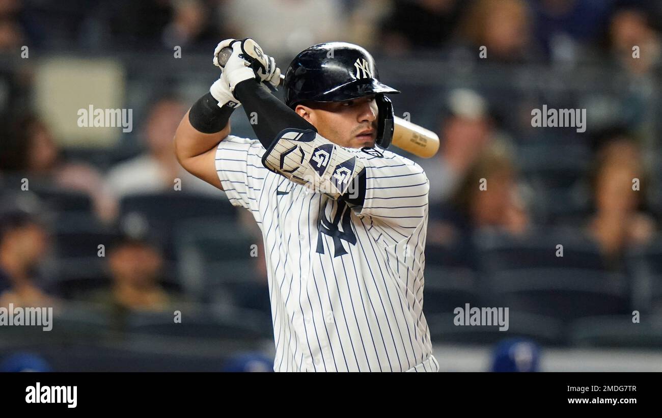 CLEVELAND, OH - APRIL 24: Gleyber Torres (25) and Gio Urshela (29) of the New  York Yankees look on during a game against the Cleveland Indians at Prog  Stock Photo - Alamy