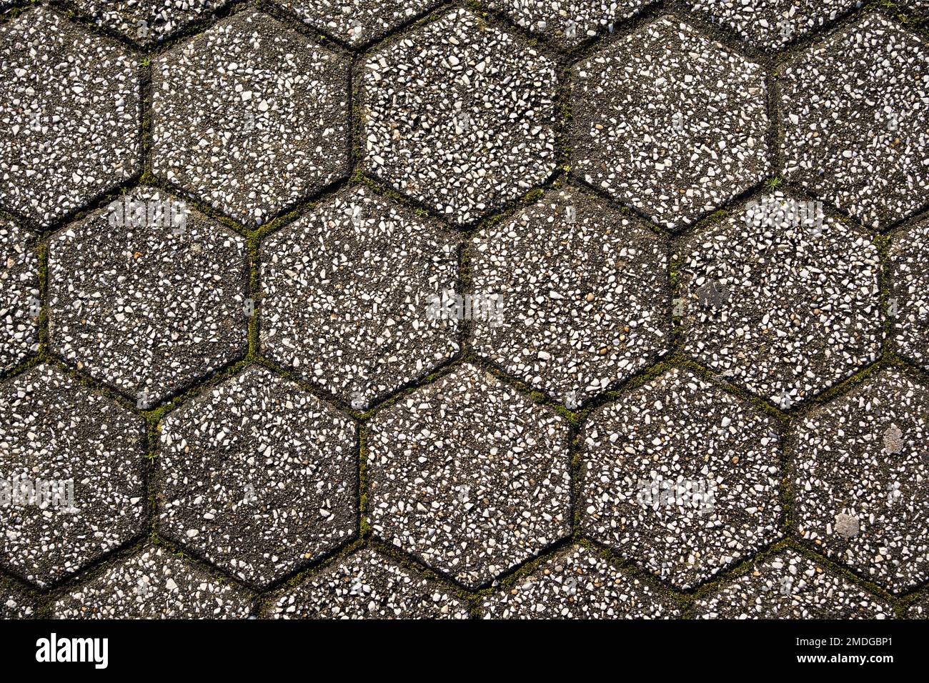 Hexagonal floor tile with grass and moss. Can use for add text and ...