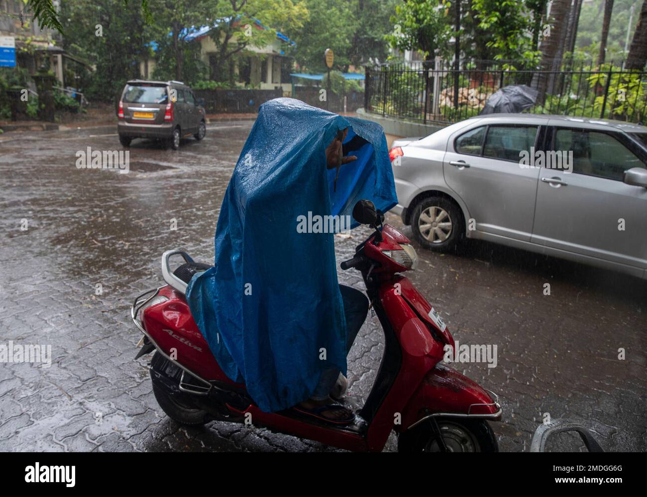 Moped tarp on sale