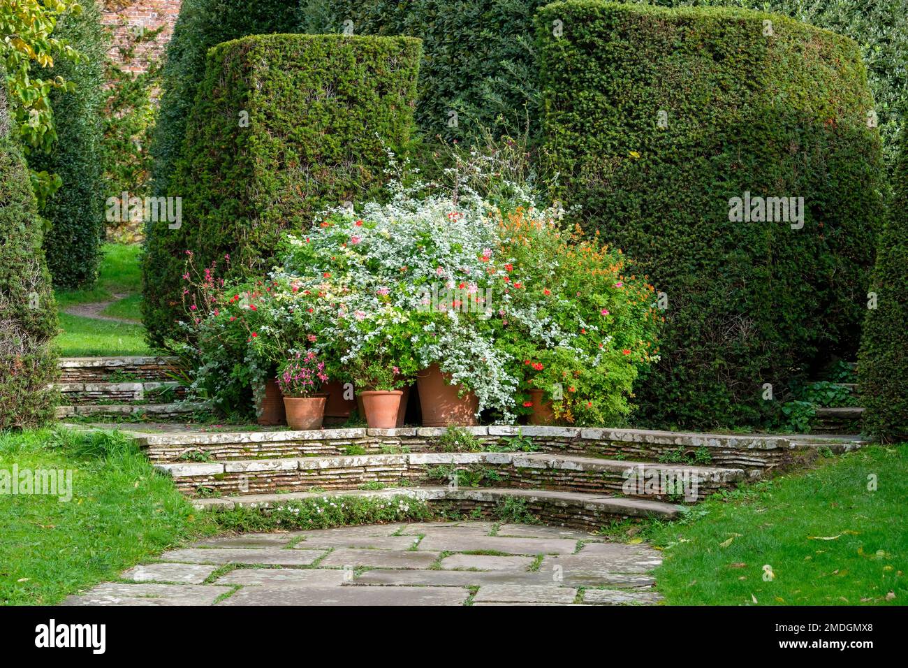 Great Dixter, flowering pots on steps, East Sussex, UK Stock Photo
