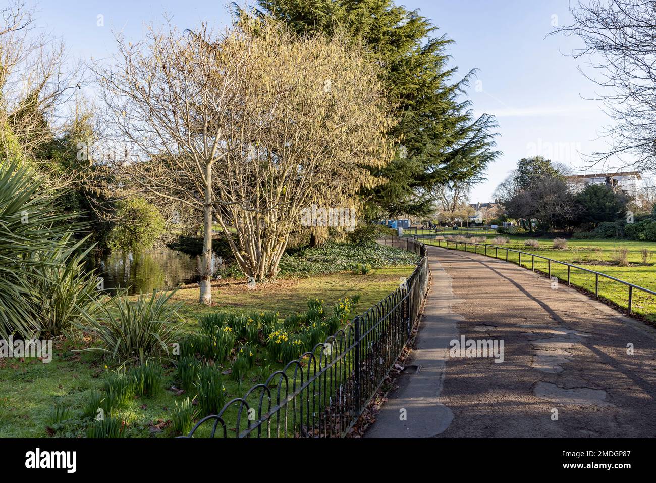 Acton Vale, Local Area Shoot Stock Photo Alamy