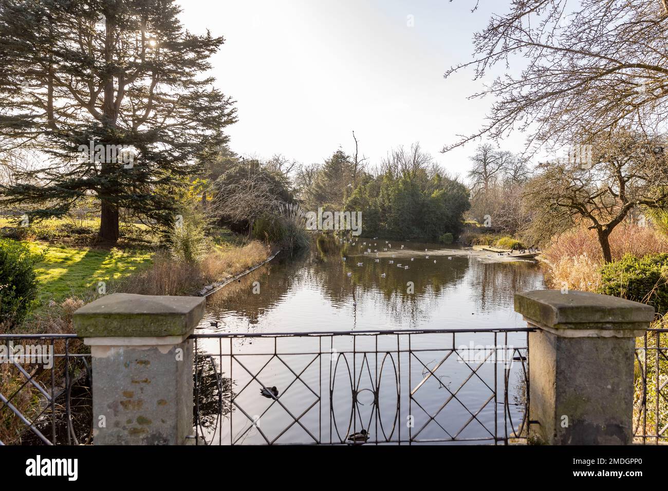 Acton Vale, Local Area Shoot Stock Photo Alamy