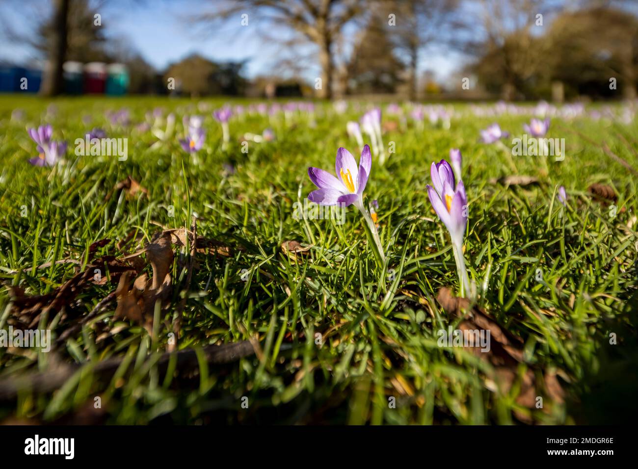 Acton Vale, Local Area Shoot Stock Photo Alamy