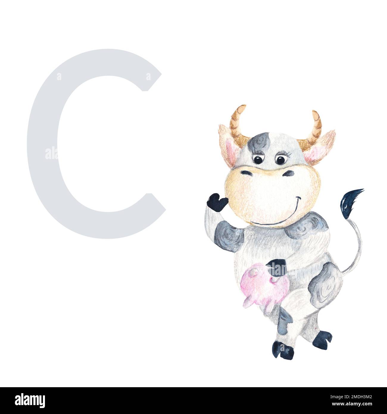 Letter C, uppercase, baby cow, cute kids colorful animal ABC alphabet. Watercolor hand drawn illustration isolated on white background. Can be used Stock Photo