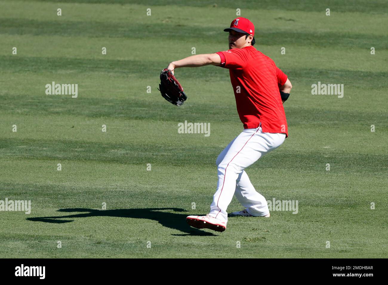 Los Angeles Angels' Shohei Ohtani throws in the outfield during warmups
