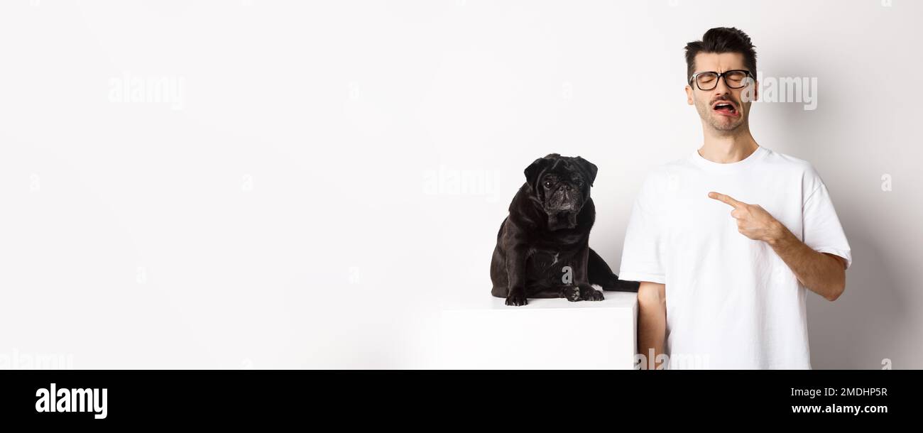 Upset crying man pointing at cute black pug and sobbing, complaining on his pet, standing sad against white background Stock Photo