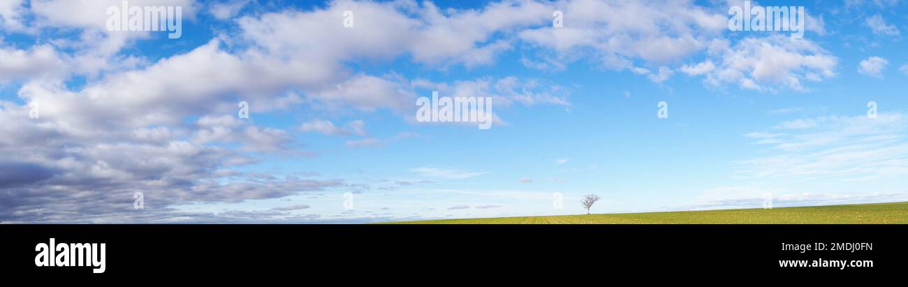 Wide panoramic view of blue skies and white scattered clouds and green ground with a single tree Stock Photo