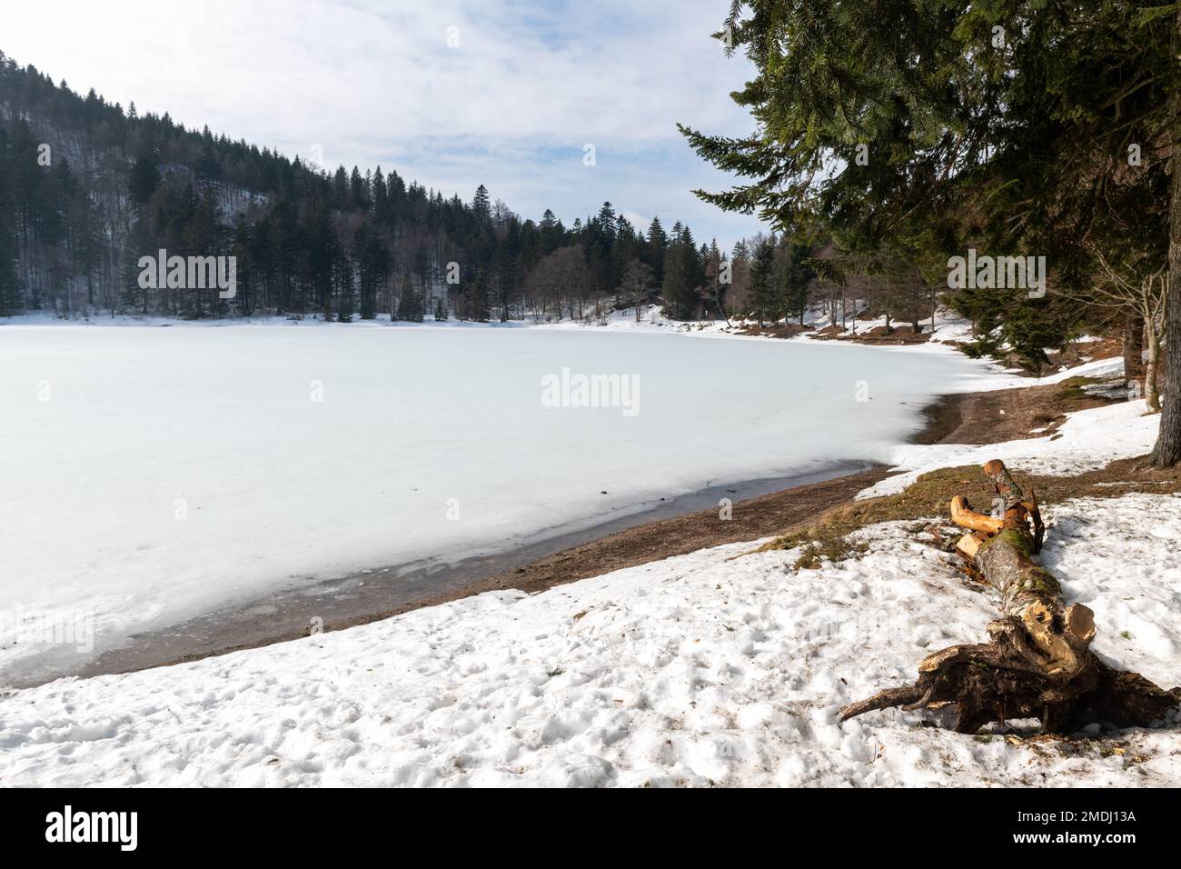 Le lac de Blanchemer, situé à 984 mètres sur la commune de La Bresse dans les Vosges ∞ Lake of Blanchemer, France Stock Photo