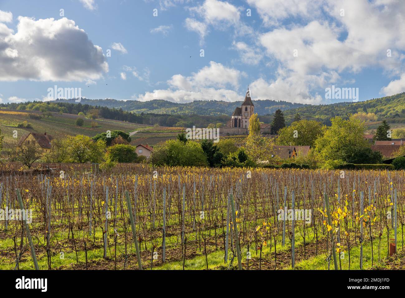 France, Haut-Rhin (68), Route des vins d'Alsace, Hunawihr, labellisé ...