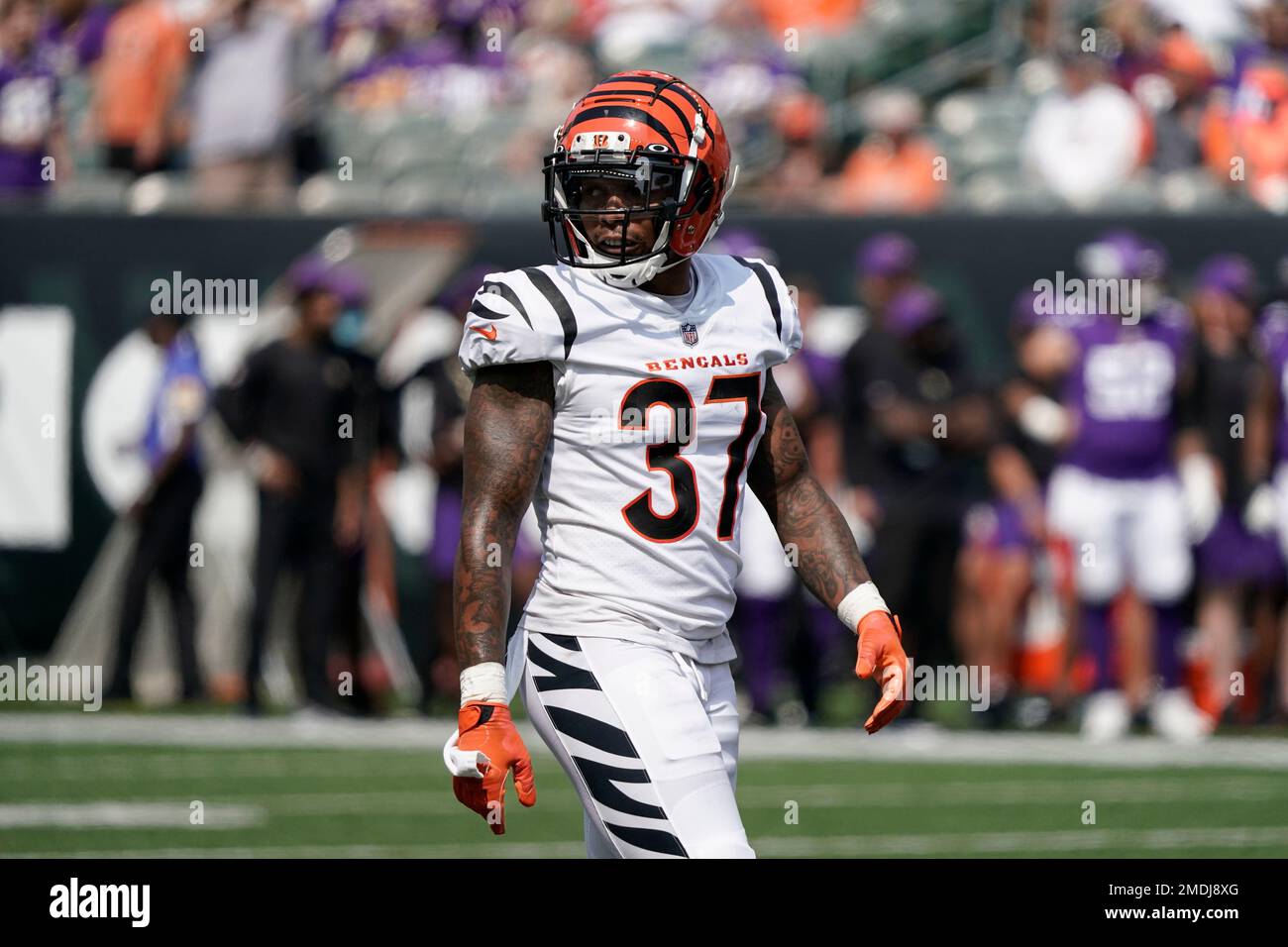 Cincinnati Bengals free safety Ricardo Allen (37) in action against the Los  Angeles Rams during the NFL Super Bowl 56 football game Sunday, Feb. 13,  2022, in Inglewood, Calif. (AP Photo/Steve Luciano