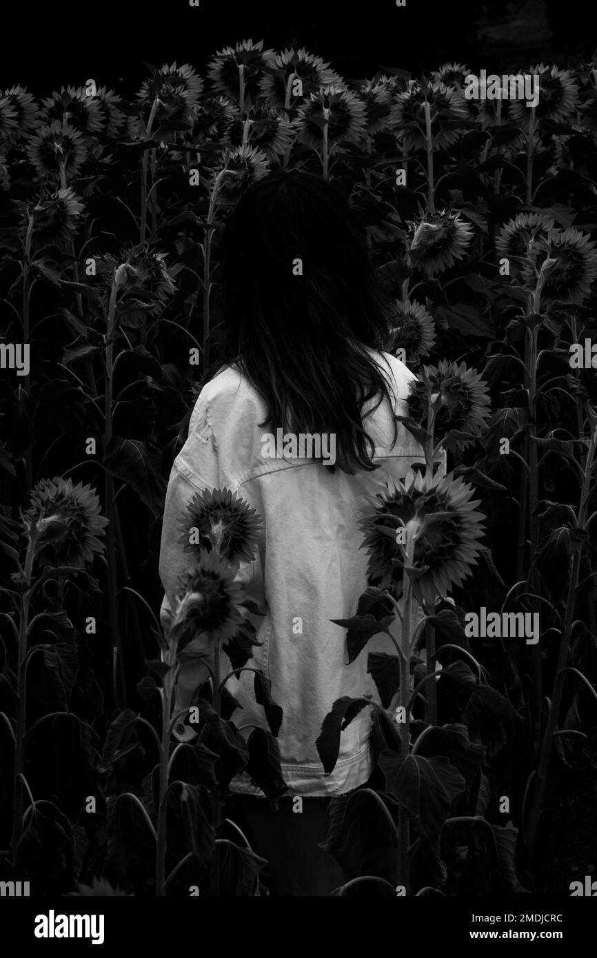 black sheep controcorrente Stock Photo Alamy