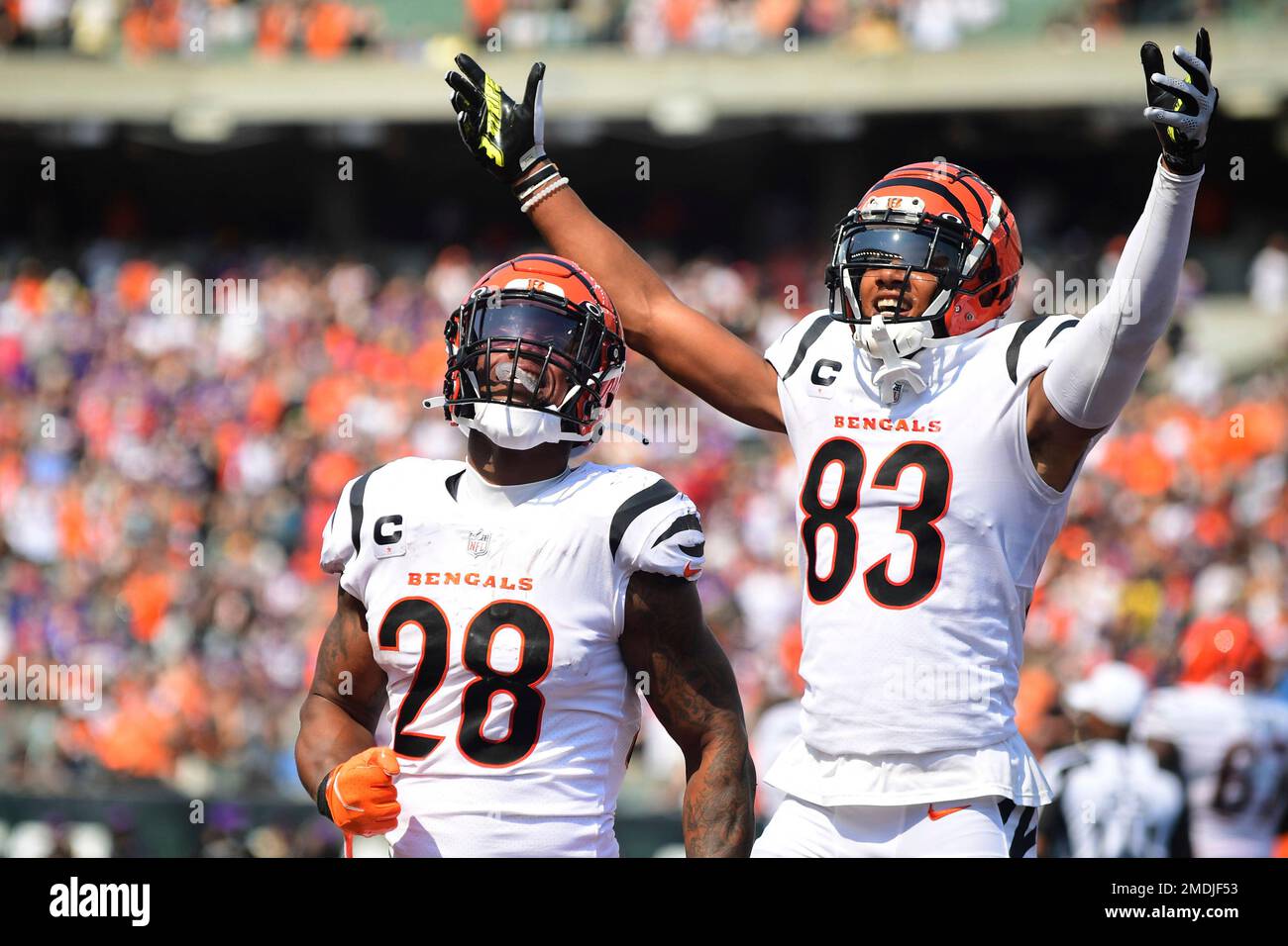 Cincinnati Bengals wide receiver Tyler Boyd (83) runs off the field after  warming up before an