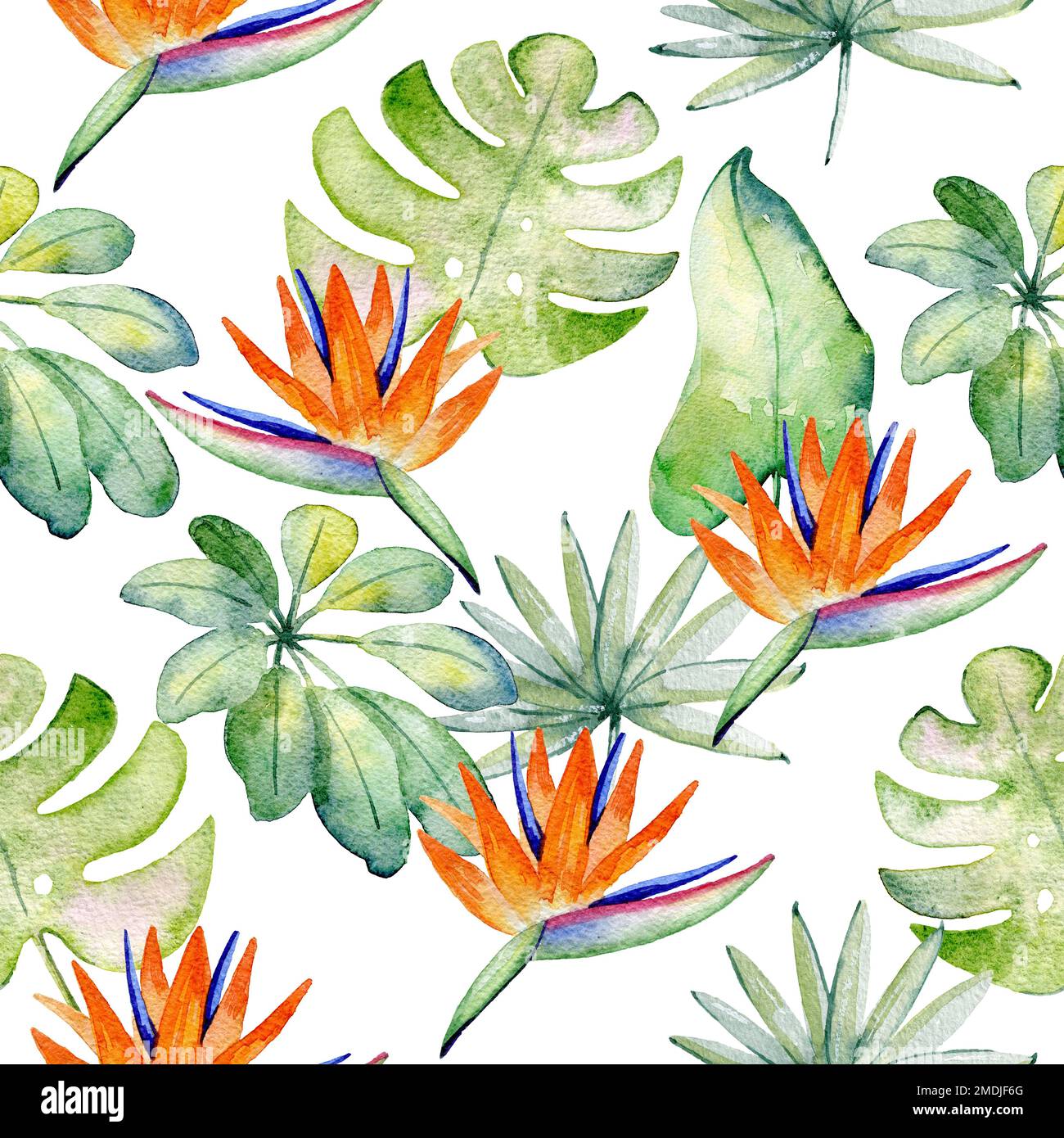 Tropical seamless pattern Stock Photo - Alamy