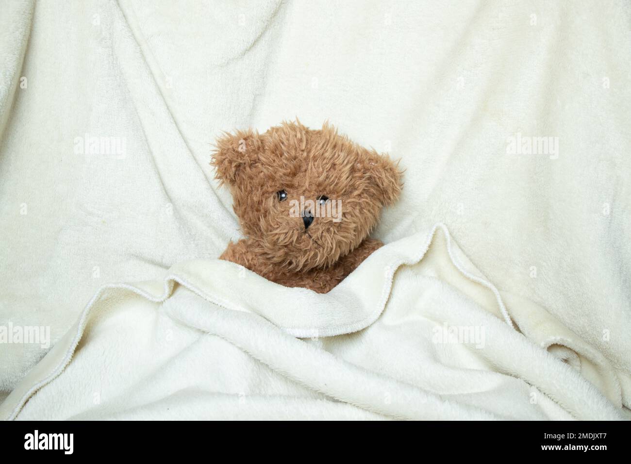 teddy brown bear lies on a white soft odyala on the bed alone, children's toy, brown bear Stock Photo