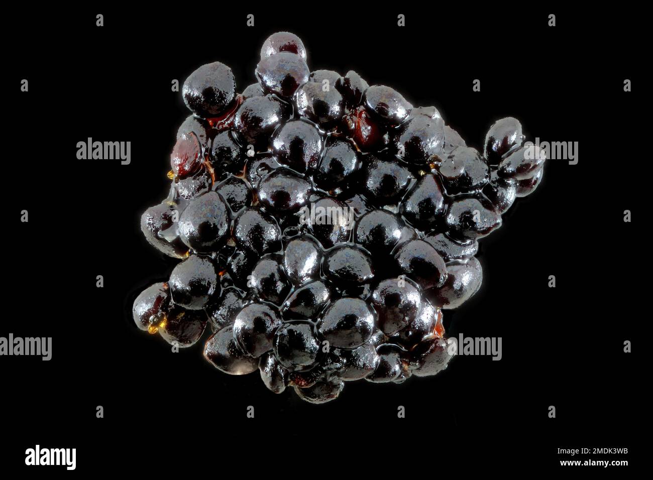 Vanilla planifolia, Vanilla, Vanille, close up, seeds Stock Photo