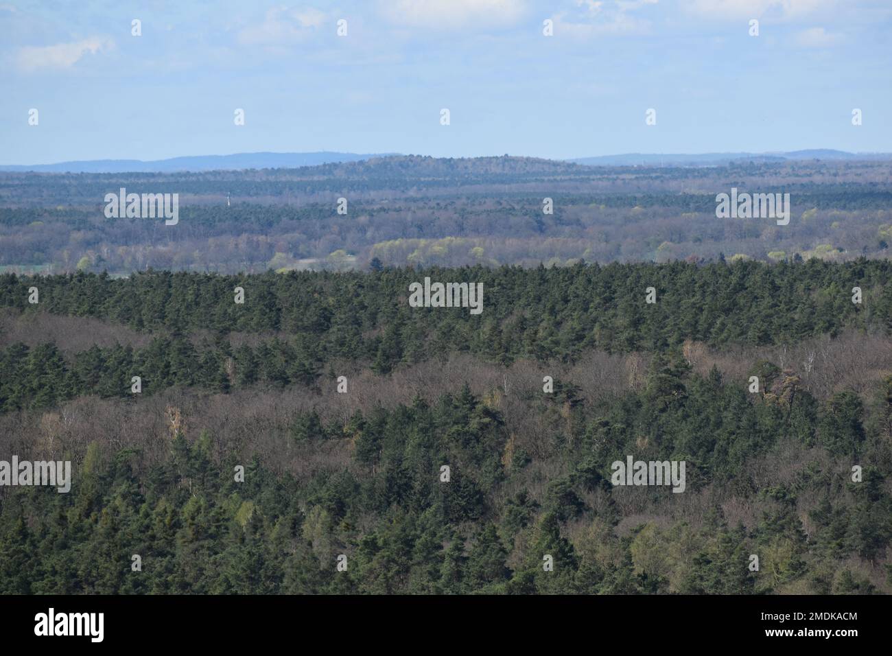 An aerial view of large green forests in the countryside Stock Photo ...