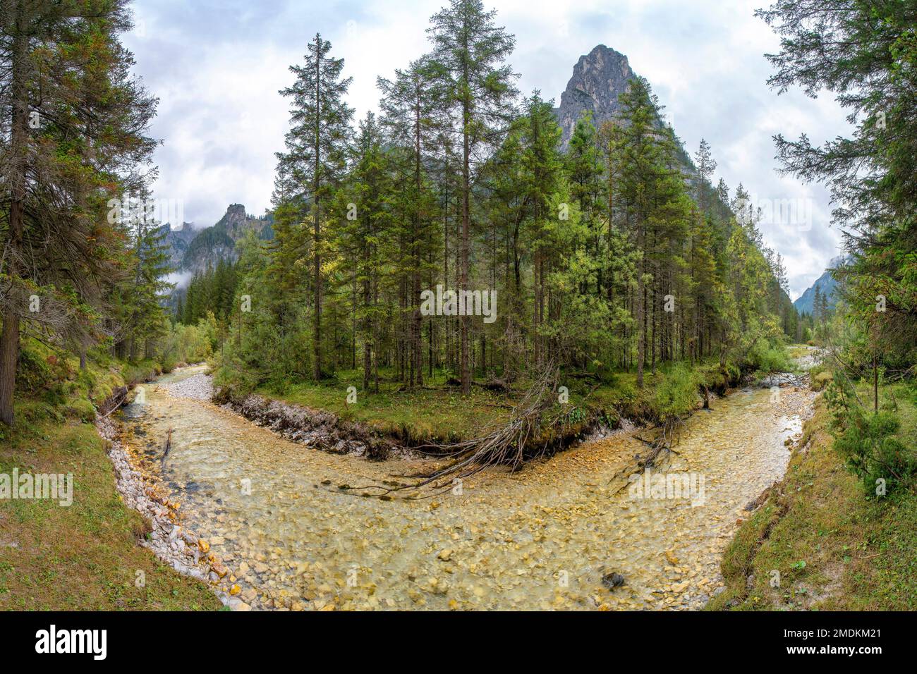 River Rienz Rienz river in the Hoehleinsteintal, Val di Landro, Italy, South Tyrol ...
