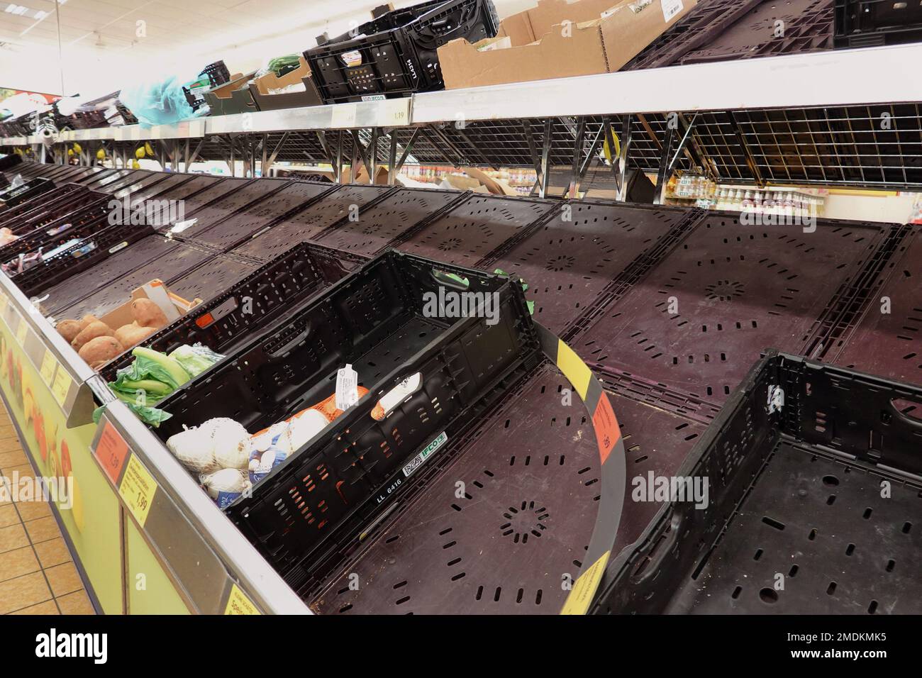 empty vegetable shelf in the supermarket, symbolic image, Germany Stock ...