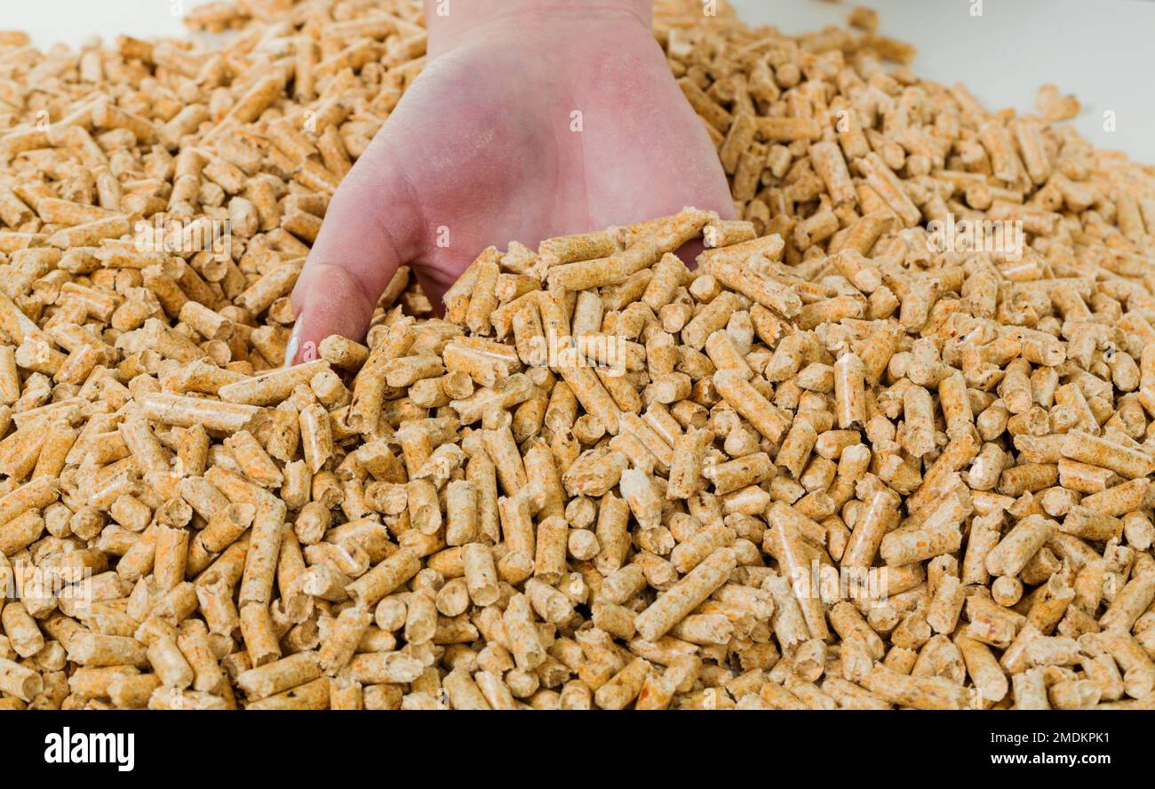 hands with wood pellets Stock Photo