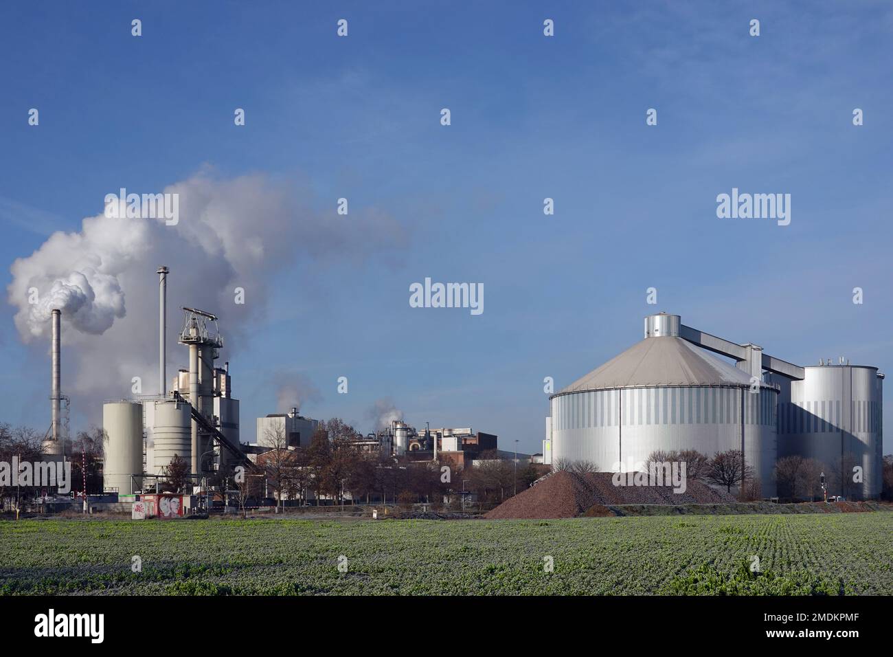 Sugar plant hires stock photography and images Alamy