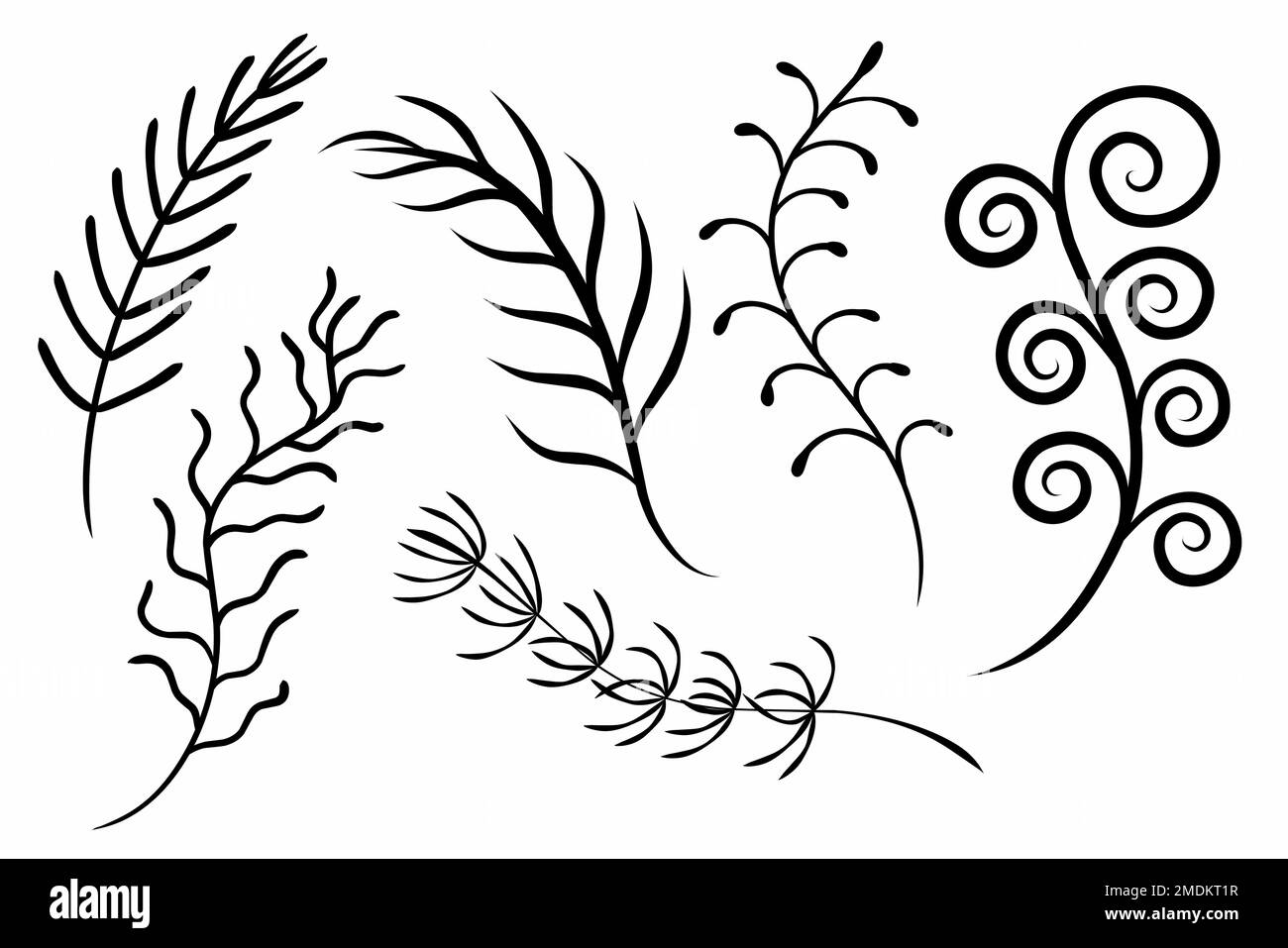 vector set of isolated elements of twigs with leaves and berries, drawn ...