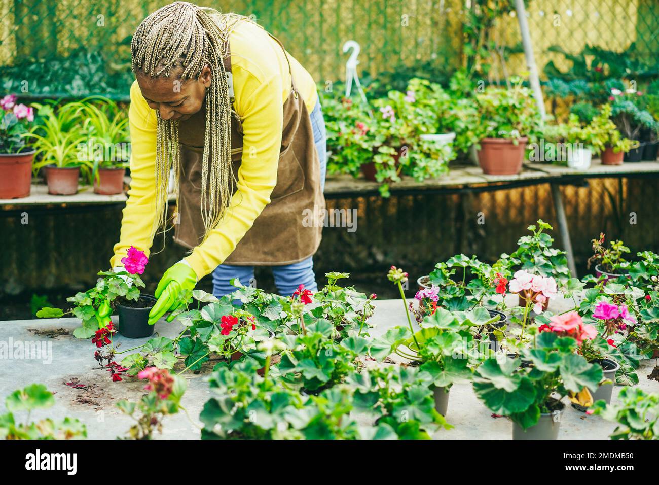 African woman preparing flowers plants inside nursery garden - Focus on face Stock Photo
