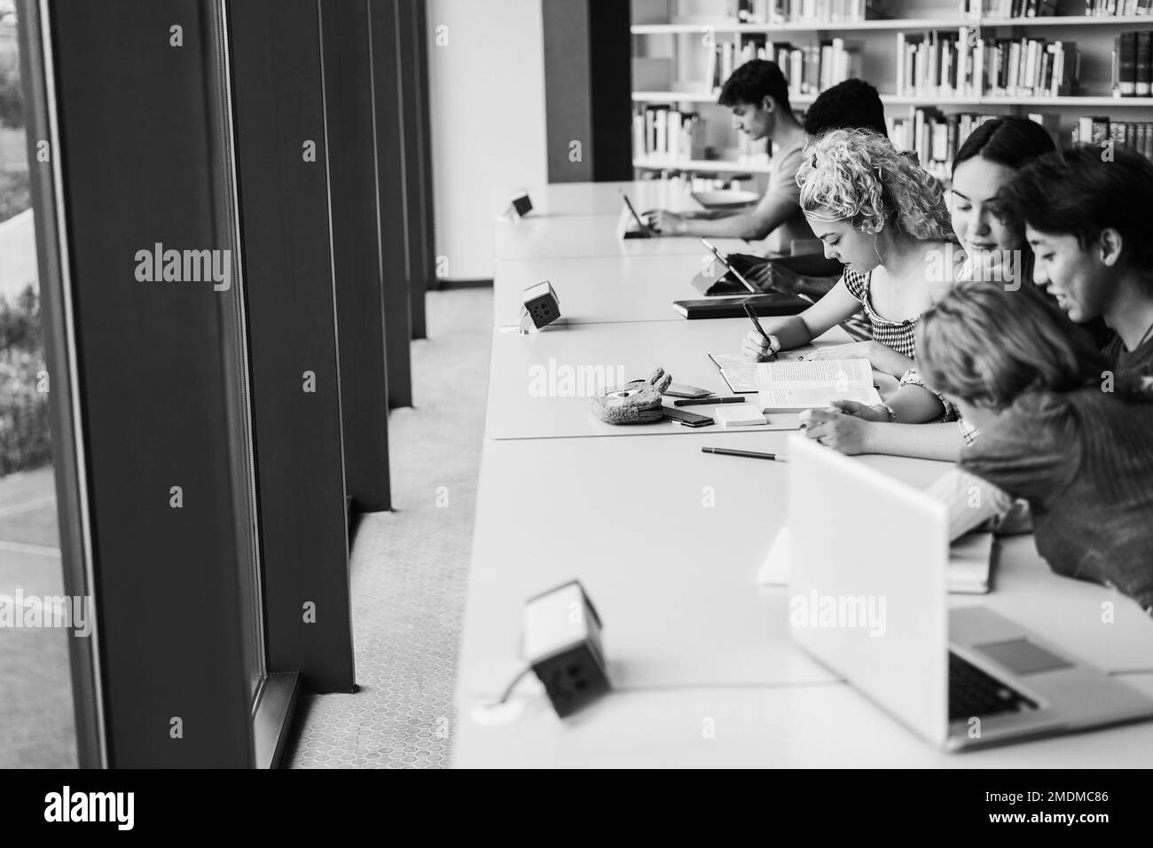 Young multiethnic group of students studying inside university library - Focus on blond girl face - Black and white editing Stock Photo
