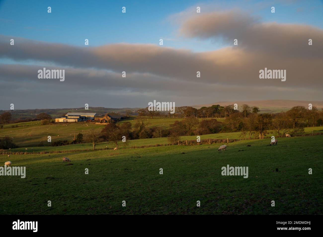 Potters hill hires stock photography and images Alamy