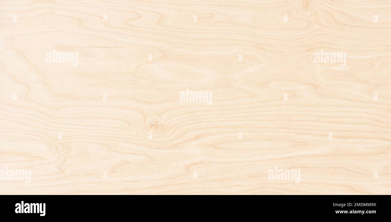 wood texture with empty space. wooden background Stock Photo