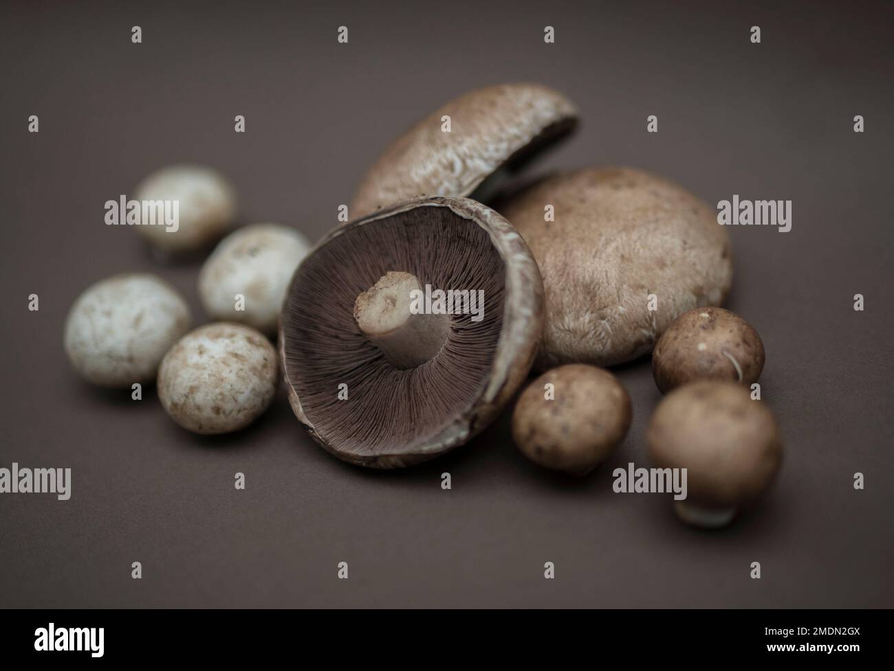 Crimini mushrooms portobello baby button mushroom, Champignon edible