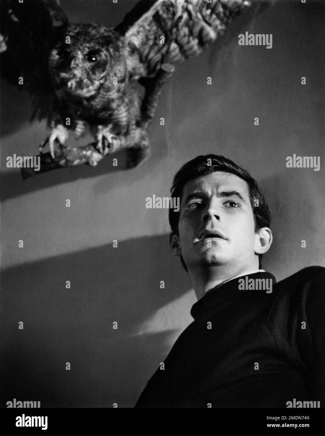 Marion crane shower scene hires stock photography and images Alamy