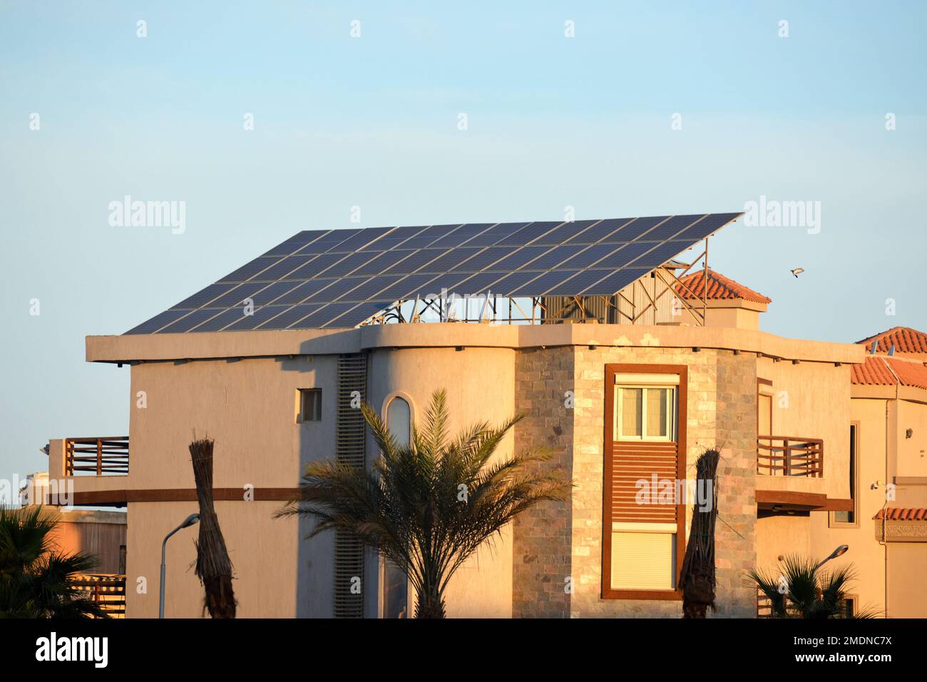 Solar cells and panels in Egypt, photovoltaic cell, electronic device that converts the energy of light directly into electricity by the photovoltaic Stock Photo