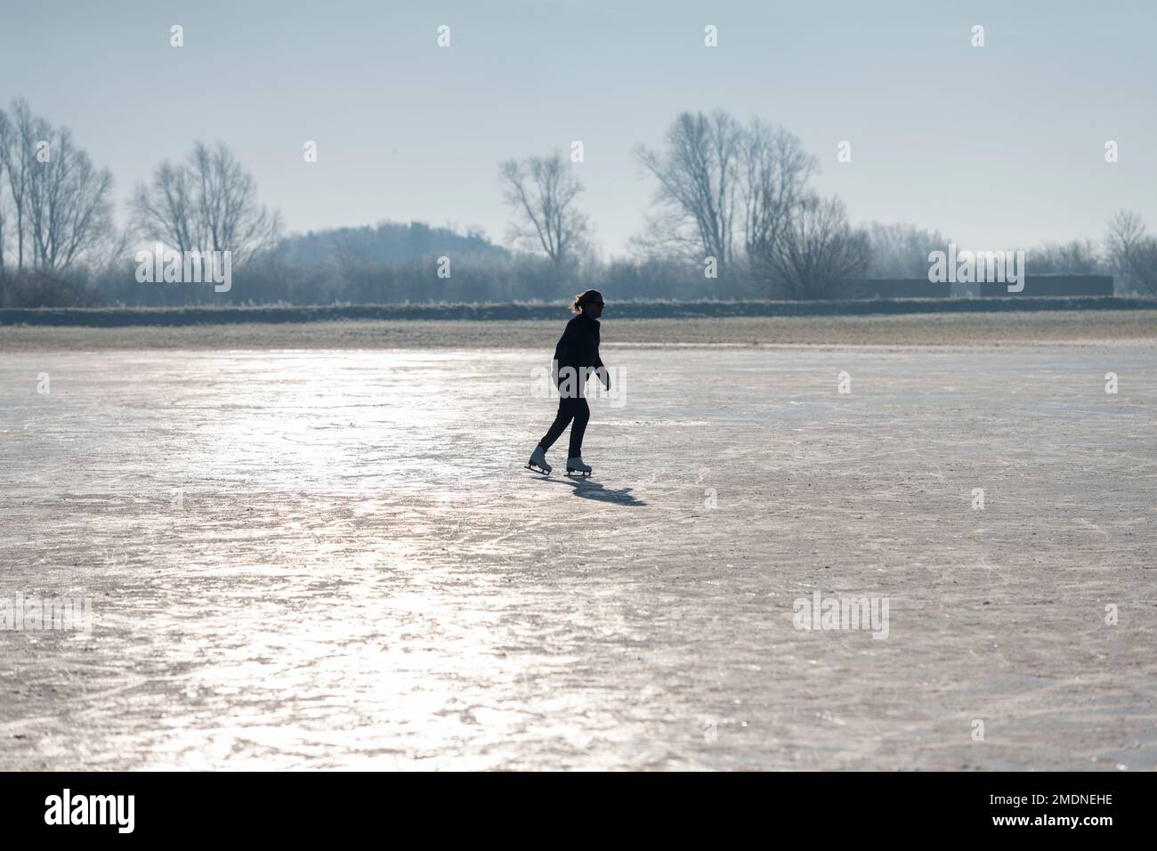 Bluntisham, Cambridgeshire, UK. 23rd Jan, 2023. People enjoy the cold snap with some fen skating in sunshine as the cold winter weather continues. Ice skating in the fens is a popular pastime as the shallow flooded flat fields can freeze to allow safe skating. This is the first winter for about 10 years when sharp overnight frosts have lasted long enough to allow the water to freeze. Credit: Julian Eales/Alamy Live News Stock Photo