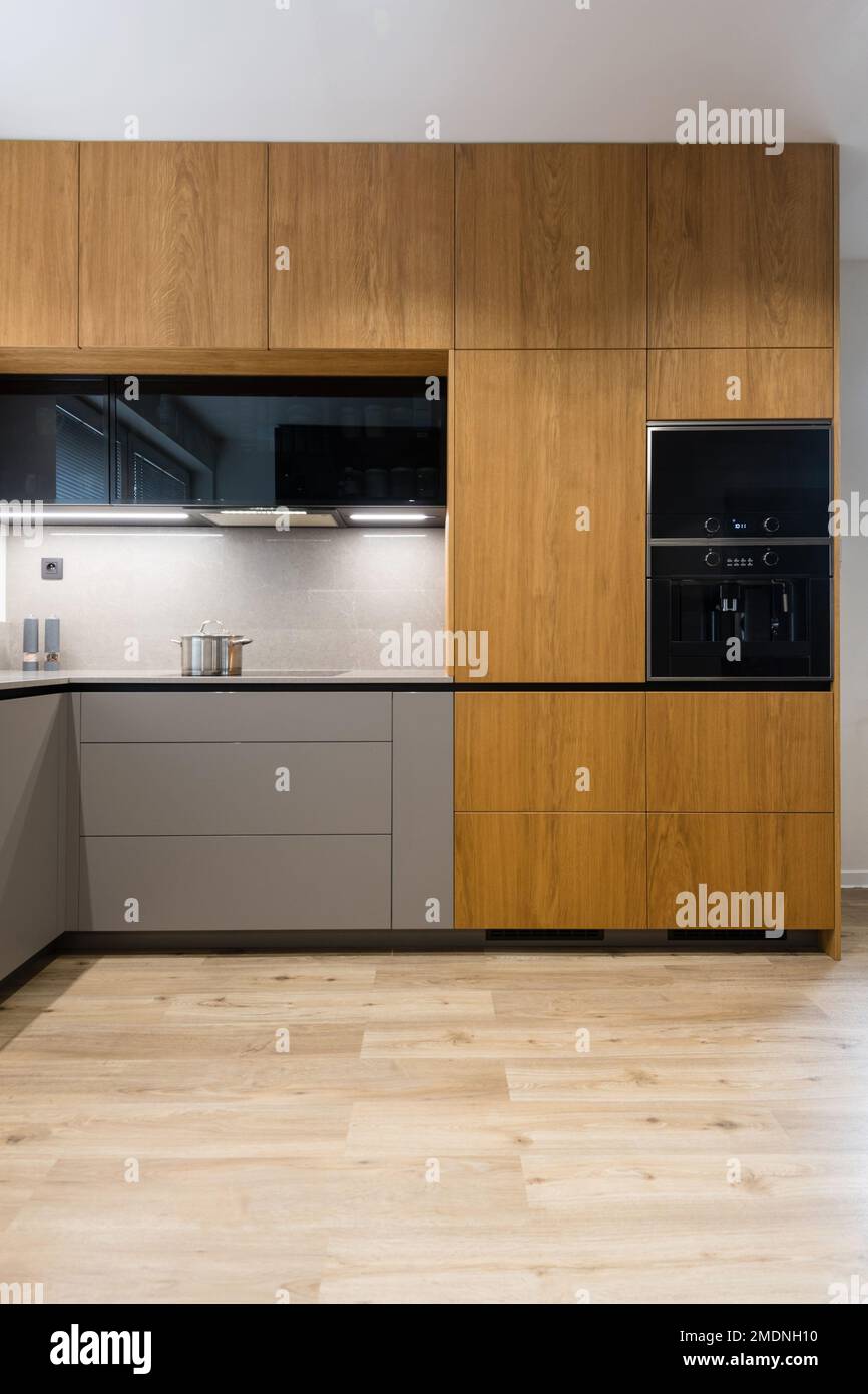 Modern kitchen with built in appliances Stock Photo - Alamy