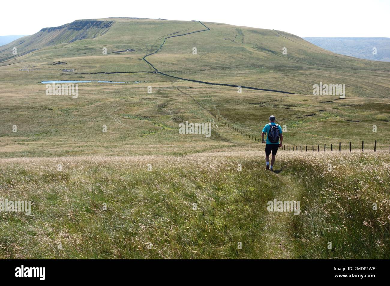 Man (Hiker) Walking on a Path by Wire Fence to Swarth Fell from Wild Boar Fell in the Eden Valley in the Yorkshire Dales National Park, England, UK. Stock Photo