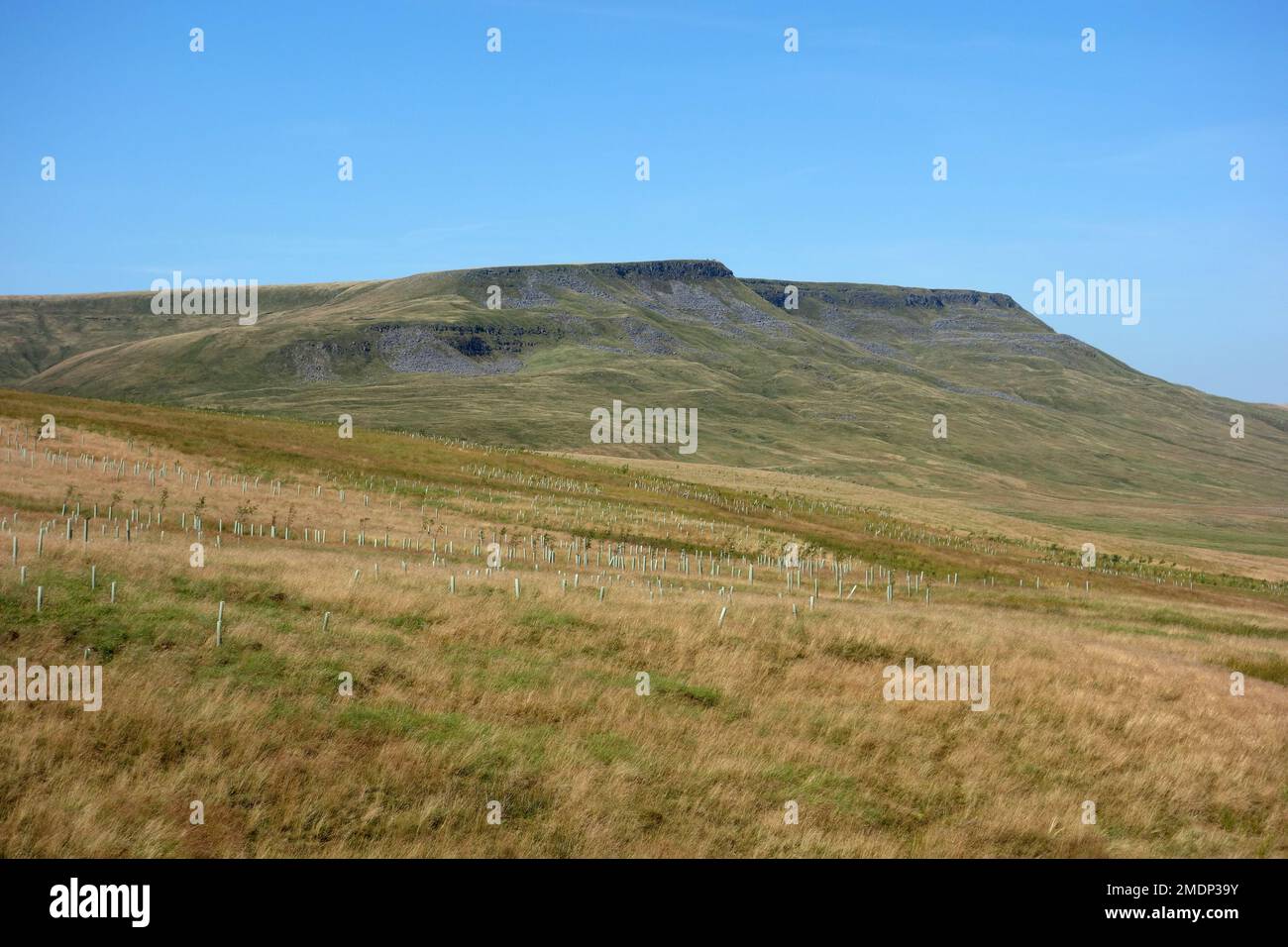 High & Low White Scar, Wild Boar Fell and Mallerstang Common from near Swarth Fell in the Eden Valley, Yorkshire Dales National Park, England, UK Stock Photo