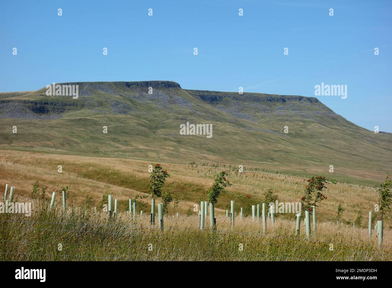 High & Low White Scar, Wild Boar Fell and Mallerstang Common from near Swarth Fell in the Eden Valley, Yorkshire Dales National Park, England, UK Stock Photo