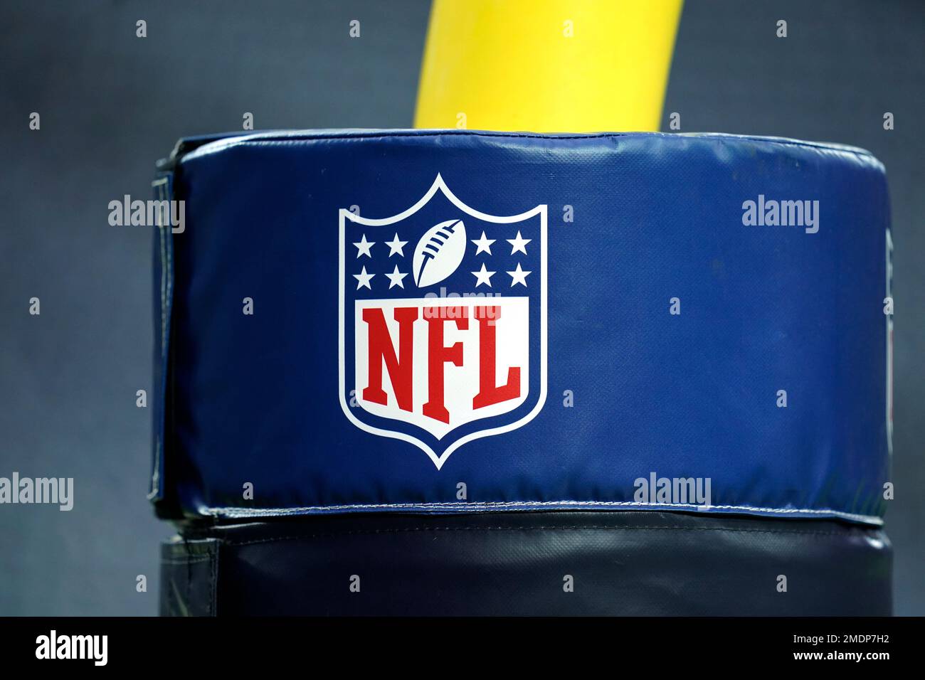 The NFL shield logo is seen on a goal post before an NFL preseason