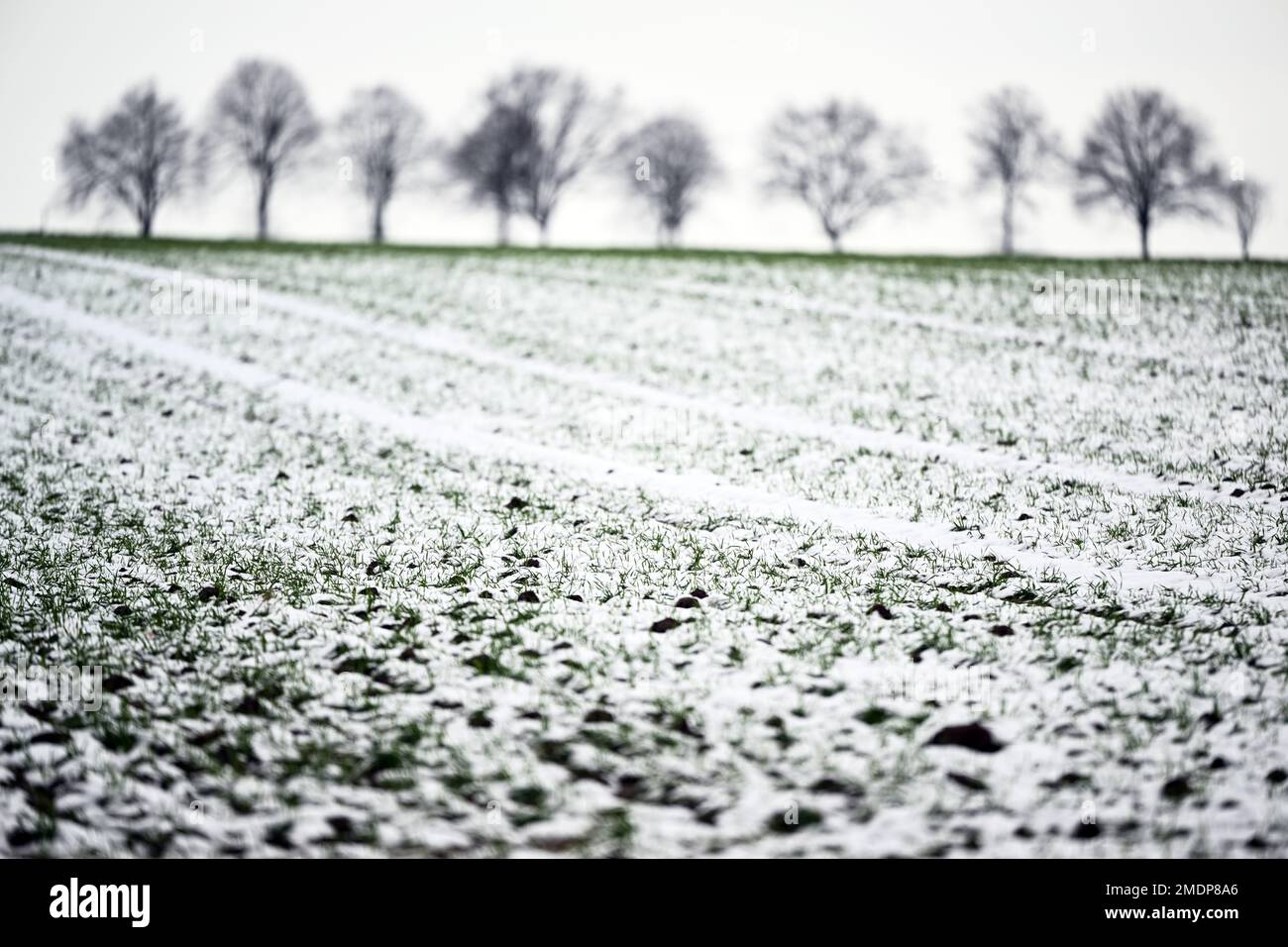 Erkelenz, Germany. 23rd Jan, 2023. Snow lies on a field near Erkelenz