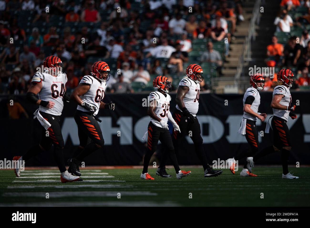 Cincinnati Bengals cornerback Jalen Davis (35) runs for the play during an  NFL football game against the Carolina Panthers, Sunday, Nov. 6, 2022, in  Cincinnati. (AP Photo/Emilee Chinn Stock Photo - Alamy