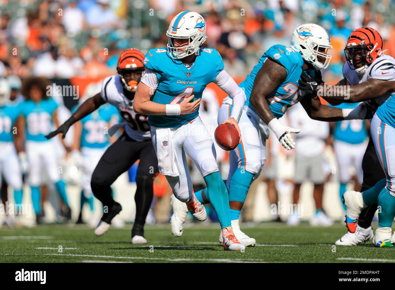 Miami Dolphins' quarterback Reid Sinnett (4) drops back against