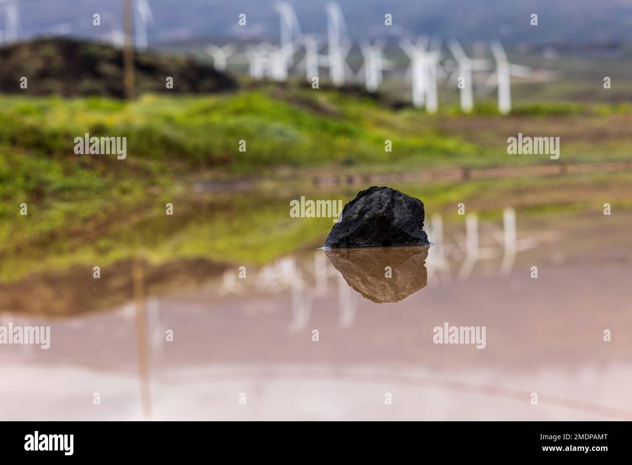 Windfarm turbines reflecting in a puddle at Abades, Granadilla de Abona, Tenerife, Canary Islands, Spain Stock Photo
