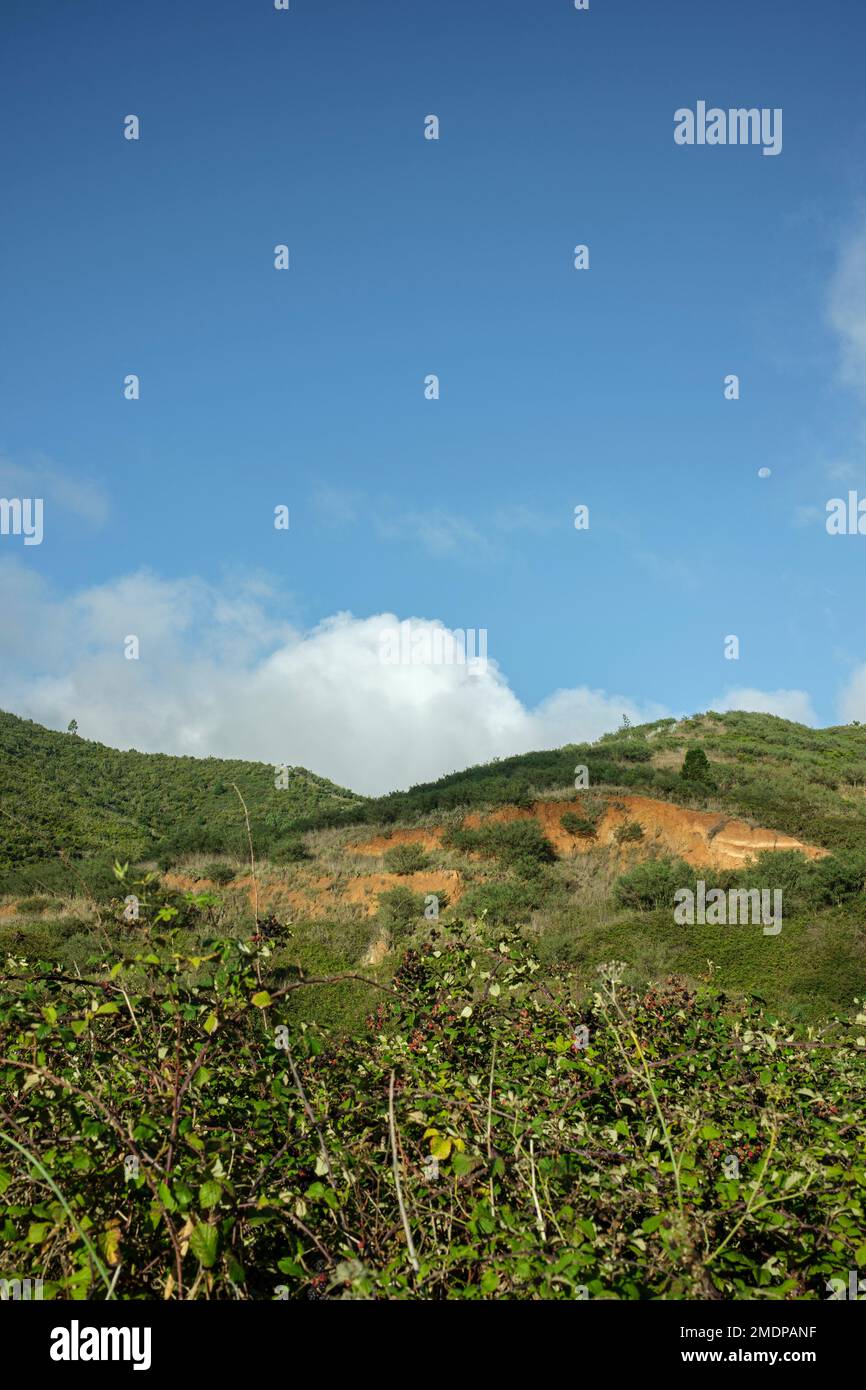 Scar in the landscape where top soil has been dug out of the hill, Erjos, Tenerife, Canary Islands, Spain Stock Photo